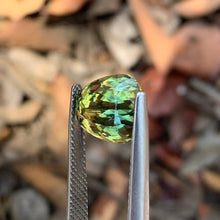 5.4ct Parti Sapphire Egg