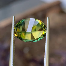 6.5ct Wattle Parti Australian Sapphire, Oval