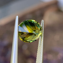6.5ct Wattle Parti Australian Sapphire, Oval