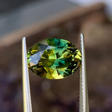 6.5ct Wattle Parti Australian Sapphire, Oval