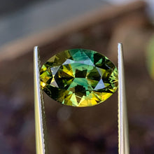 6.5ct Wattle Parti Australian Sapphire, Oval
