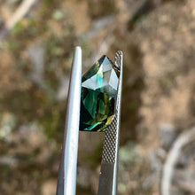 7.42ct Freeform Parti Sapphire Freeform