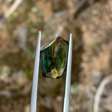 7.42ct Freeform Parti Sapphire Freeform