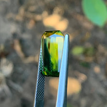 8.22ct Wattle Sapphire Sapphire, Bi Color Parti