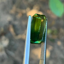 8.22ct Wattle Sapphire Sapphire, Bi Color Parti