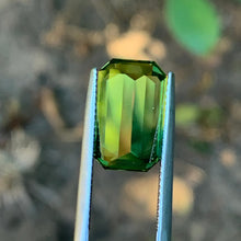 8.22ct Wattle Sapphire Sapphire, Bi Color Parti