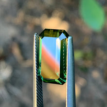 8.22ct Wattle Sapphire Sapphire, Bi Color Parti