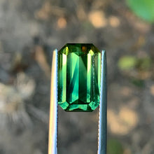 8.22ct Wattle Sapphire Sapphire, Bi Color Parti