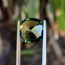 9.53ct Parti Sapphire, Cushion