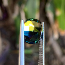 9.53ct Parti Sapphire, Cushion