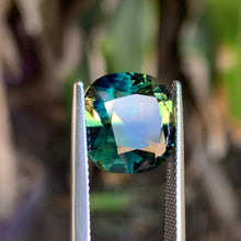 9.53ct Parti Sapphire, Cushion