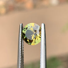 2.11ct Wattle Sapphire, Round