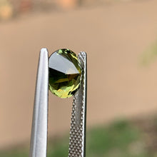 2.11ct Wattle Sapphire, Round