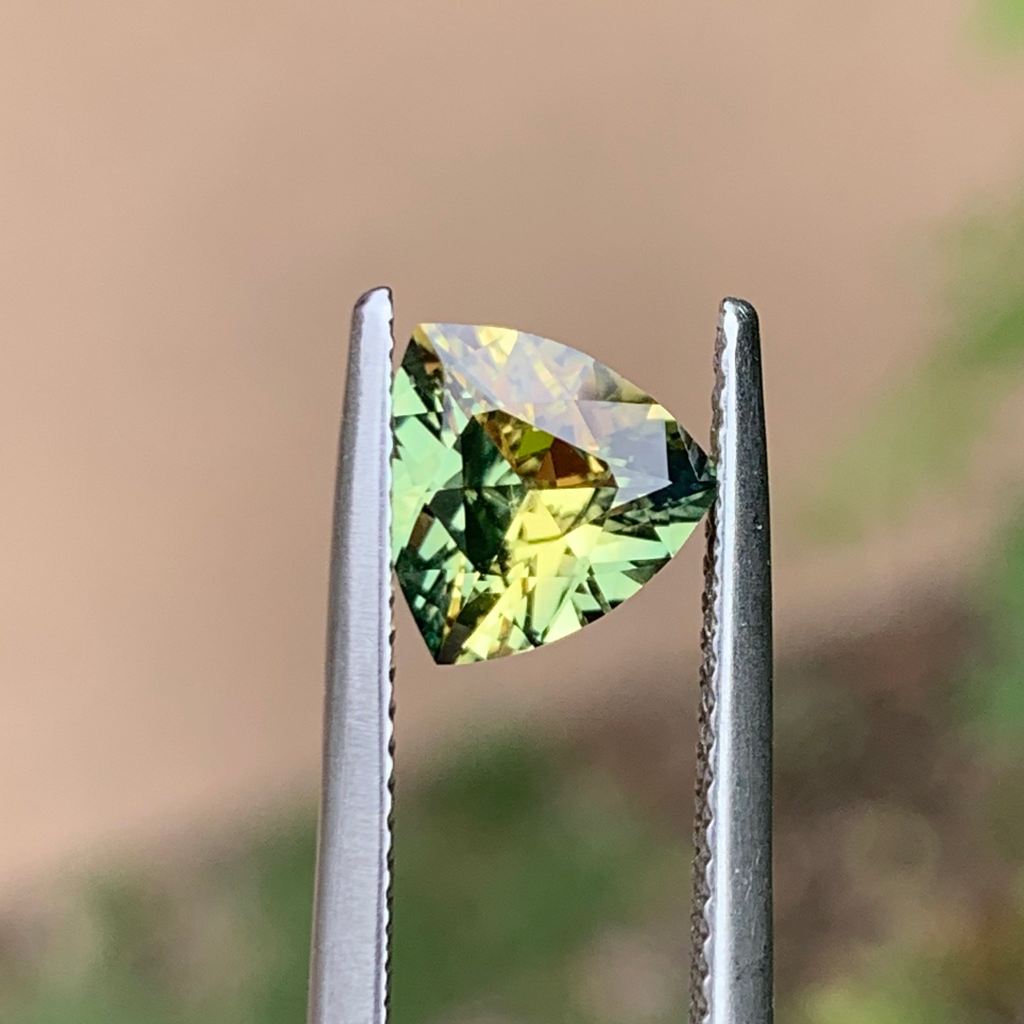 1.65ct Wattle Sapphire, Trillion