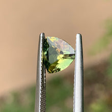 1.65ct Wattle Sapphire, Trillion