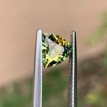1.65ct Wattle Sapphire, Trillion