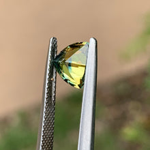 1.65ct Wattle Sapphire, Trillion