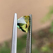 1.65ct Wattle Sapphire, Trillion
