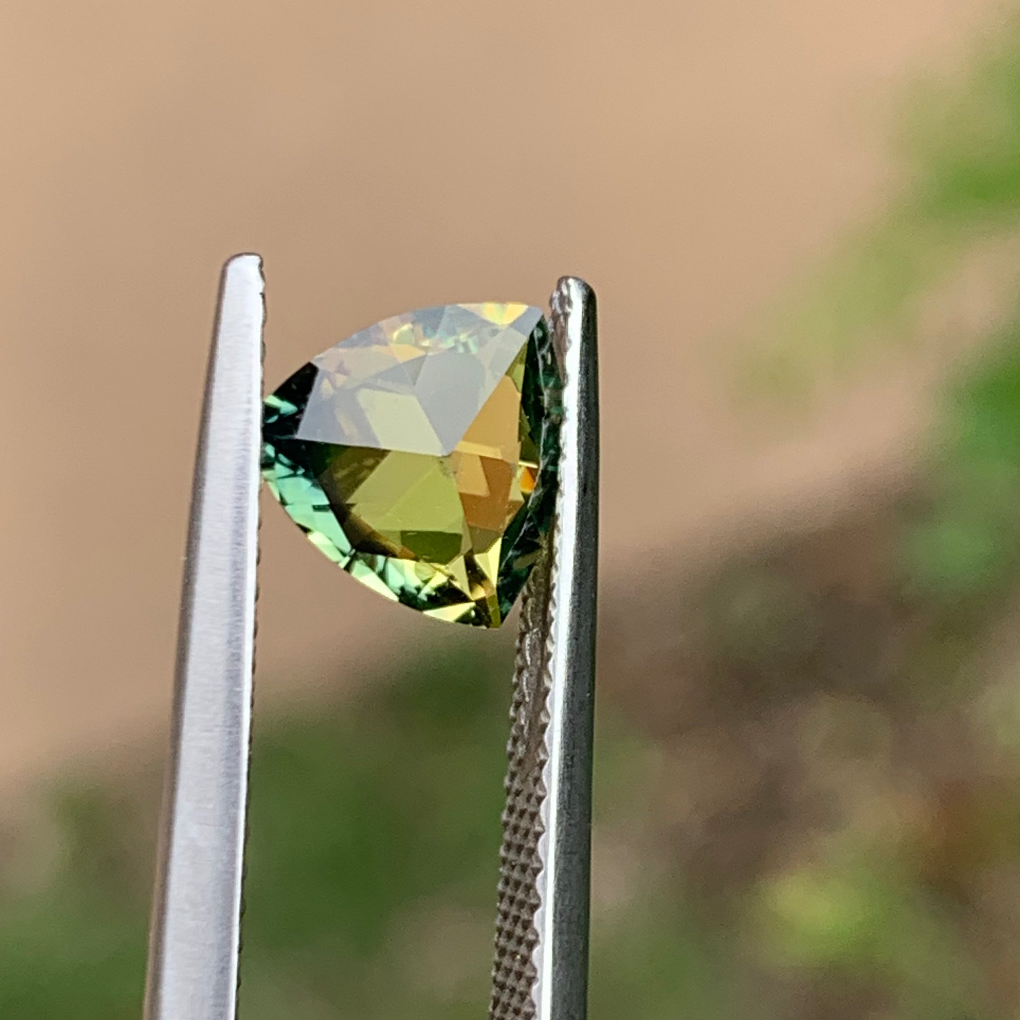 1.65ct Wattle Sapphire, Trillion