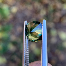 2.93ct Parti Sapphire, Cushion