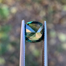 2.93ct Parti Sapphire, Cushion