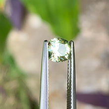 1.0ct Light Yellow Australian Sapphire, Cushion