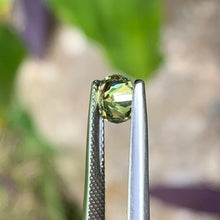 1.0ct Light Yellow Australian Sapphire, Cushion