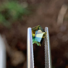 0.85ct Parti Sapphire, Freeform