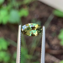 1.48ct Green Sapphire, Oval