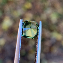 1.55ct Parti Sapphire, Octagon