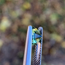 1.55ct Parti Sapphire, Octagon