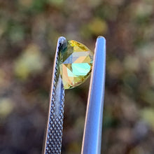 1.46ct Parti Sapphire, Trillion