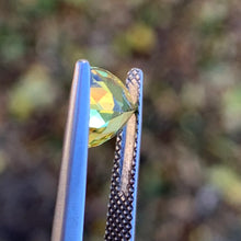 1.46ct Parti Sapphire, Trillion