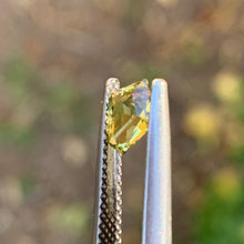 0.67ct Yellow  Sapphire, Freeform