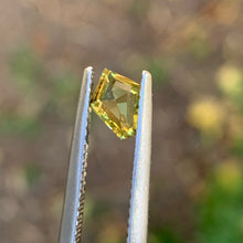 0.67ct Yellow  Sapphire, Freeform