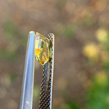 0.67ct Yellow  Sapphire, Freeform