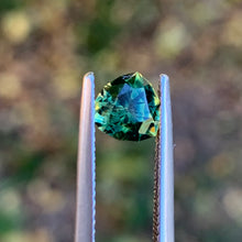 1.3ct Wattle Sapphire, Trillion