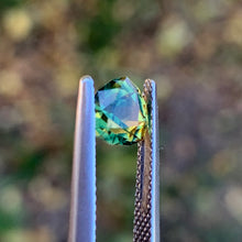 1.3ct Wattle Sapphire, Trillion