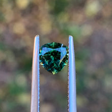 1.3ct Wattle Sapphire, Trillion