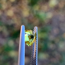 1.3ct Wattle Sapphire, Trillion