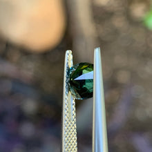 1.21ct Parti Australian Sapphire, Cushion