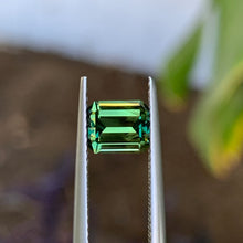 1.65ct Green Australian Sapphire, Emerald Shape