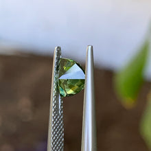 1.3ct Green Australian Sapphire, Trillion