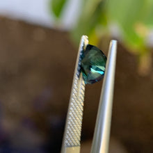 1.3ct Teal Australian Sapphire, Trillion