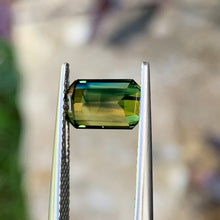 2.28ct Wattle Parti Australian Sapphire, Emerald Shape