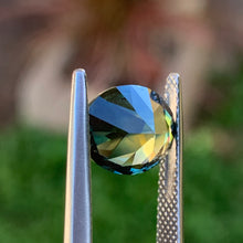 3.92ct Parti Sapphire, Oval