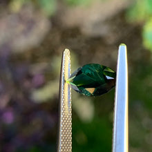 1.92ct Parti Sapphire, Marquise