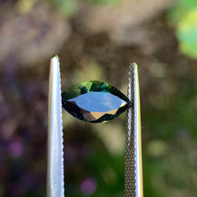 1.92ct Parti Sapphire, Marquise