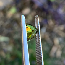 1.78ct Chartreuse Sapphire, Trillion