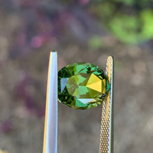 5.17ct Green Sapphire, Oval